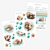 Autocollants Loutres de mer