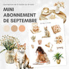 Mini abonnement d'autocollants mensuel