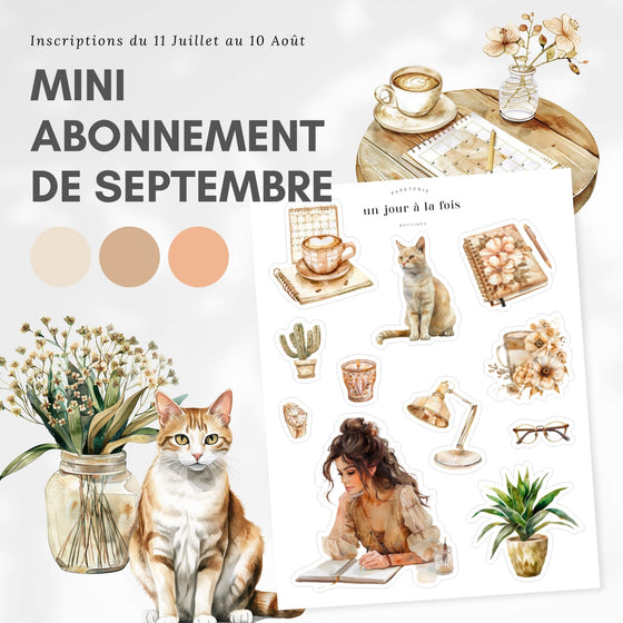 Mini abonnement d'autocollants mensuel